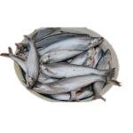 Bacha Fish Block