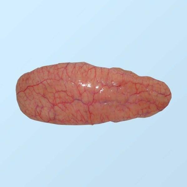 Boal Egg Block