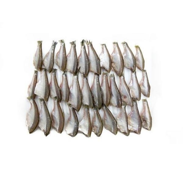 Moka Fish Block